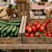Courgettes et tomates fraîches sur un étal de marché en France
